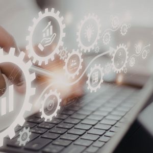 Information Technology Roles