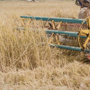 Agriculture & Farm Roles