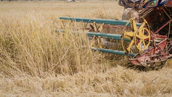 Agriculture & Farm Roles